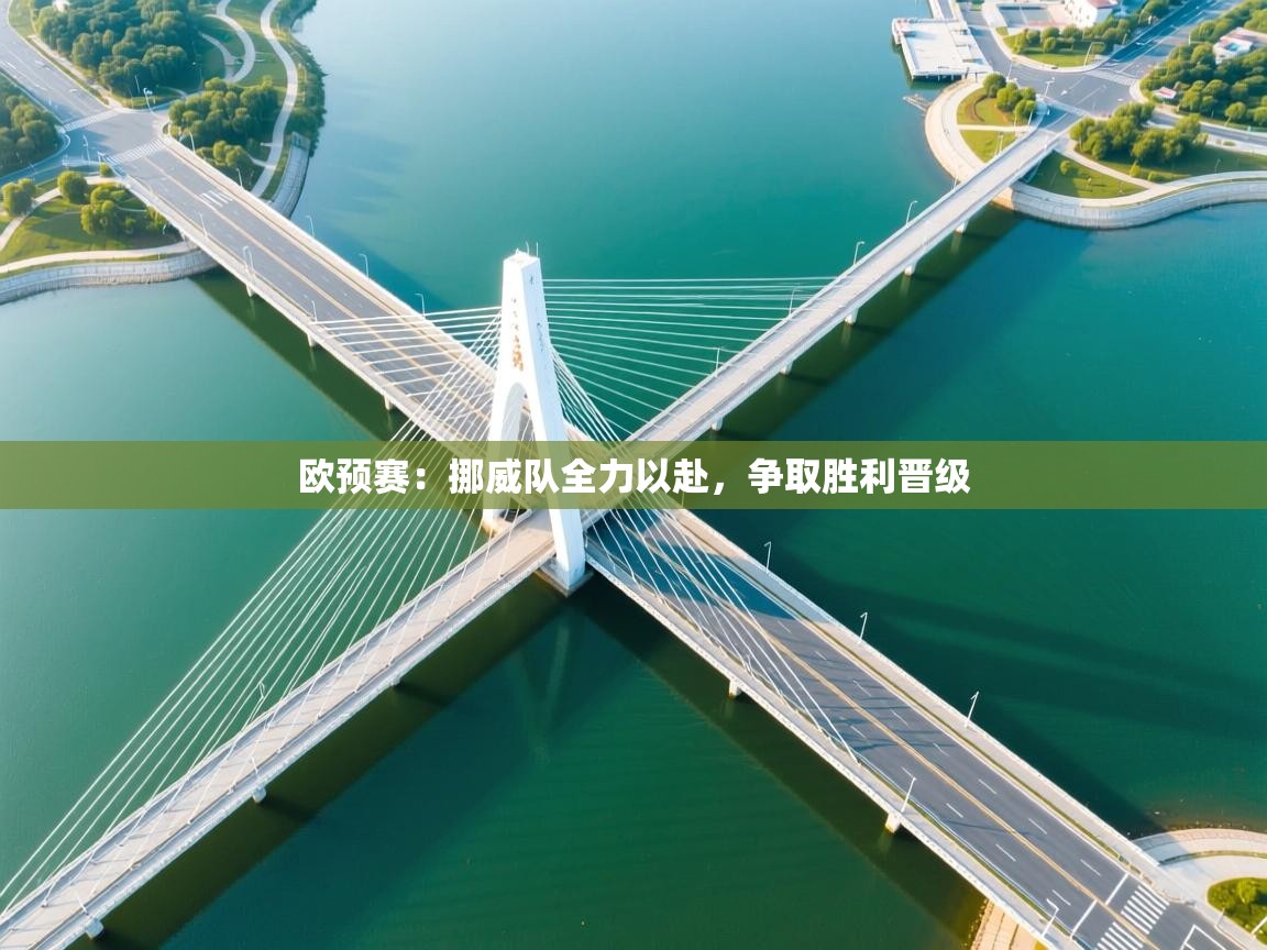 欧预赛：挪威队全力以赴，争取胜利晋级